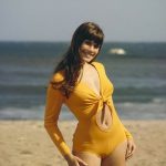 Barbi Benton Net Worth